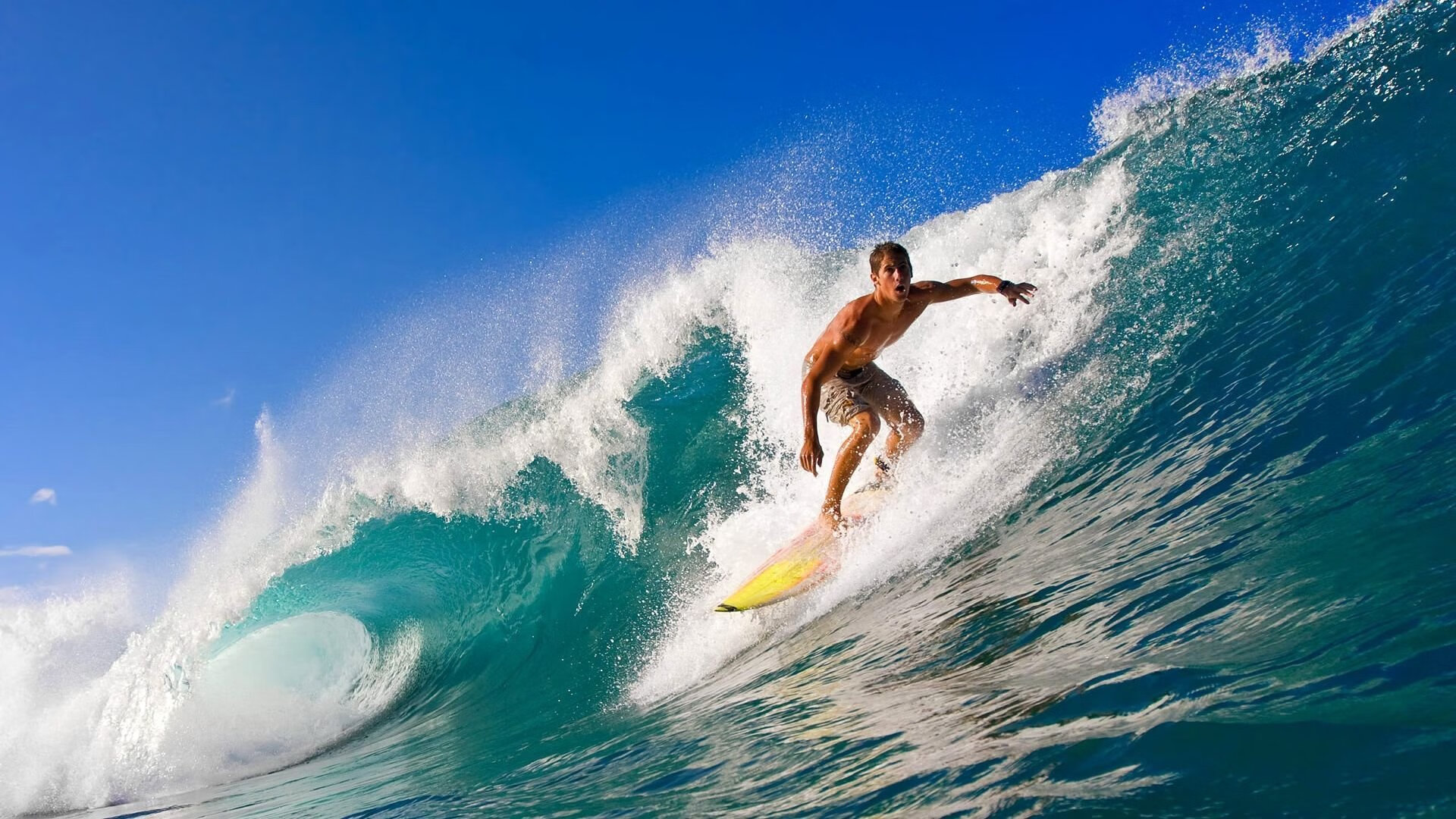 荒野追逐：极致越野赛道上的勇士角逐，荒野追击下载